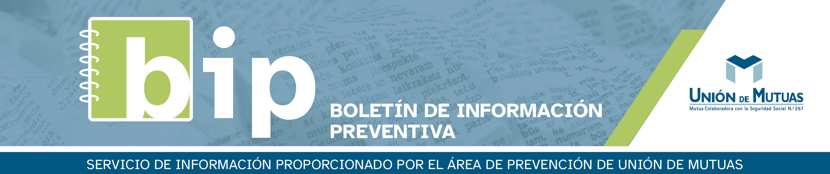 BIP Boletín Información Prevención