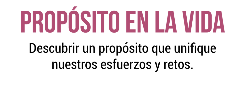 06 Proposito en la via